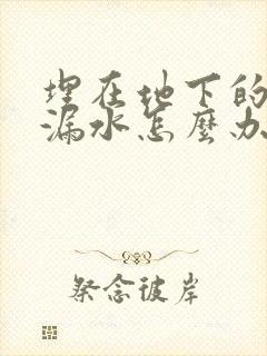 埋在地下的水管漏水怎么办