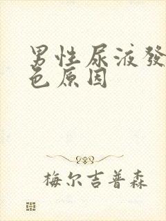 男性尿液发红褐色原因