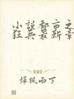 小说都市之最强狂兵最新章节