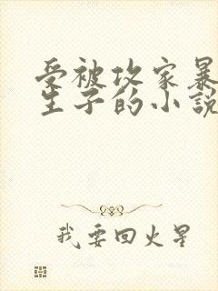 受被攻家暴囚禁生子的小说