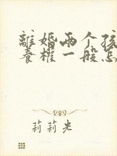 离婚两个孩子抚养权一般怎么判