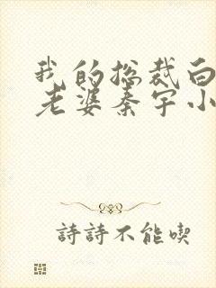 我的总裁白富美老婆秦宇小说