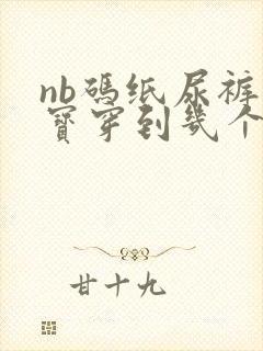 nb码纸尿裤宝宝穿到几个月