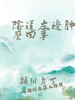 阴道左边肿疼怎么回事