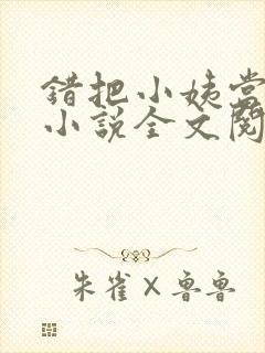 错把小姨当老婆小说全文阅读