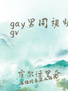 gay男同视频gv