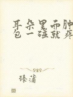 耳朵里面肿了个包一碰就疼