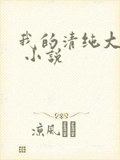 我的清纯大小姐 小说