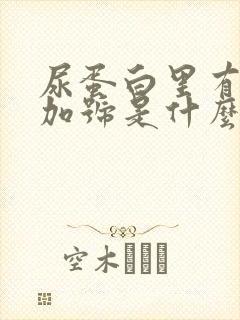 尿蛋白里有一个加号是什么情况?