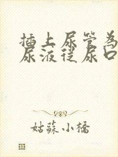 插上尿管为什么尿液从尿口往外流