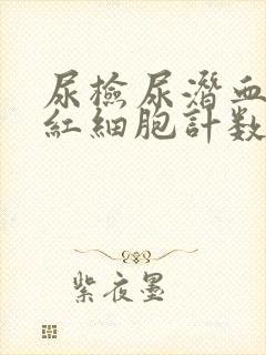 尿检尿潜血3+红细胞计数特别高