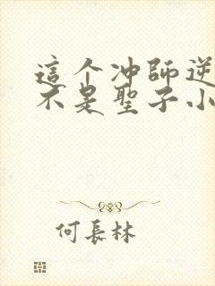 这个冲师逆徒才不是圣子小说