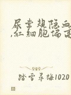 尿常规隐血2+,红细胞偏高严重吗