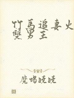 竹马追妻火葬场双男主