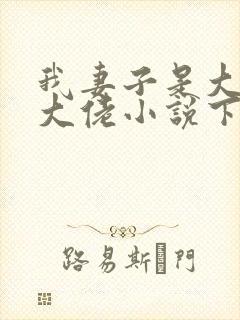 我妻子是大乘期大佬小说下载