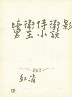 暗卫侍卫影卫双男主小说