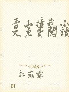 青山撞我小说全文免费阅读