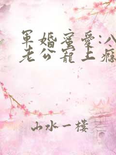 军婚蜜爱:八零老公宠上瘾