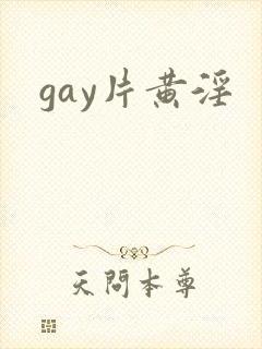 gay片黄淫