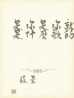 是你是你就是你是什么歌的歌词