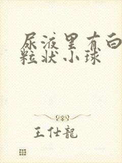 尿液里有白色颗粒状小球