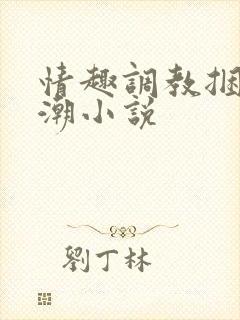 情趣调教捆绑高潮小说