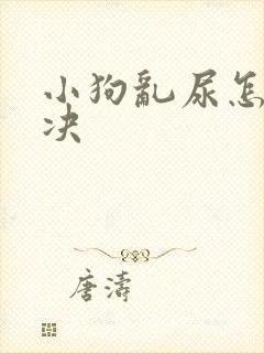 小狗乱尿怎么解决