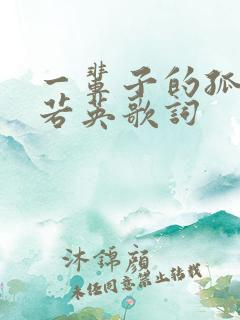 一辈子的孤单刘若英歌词