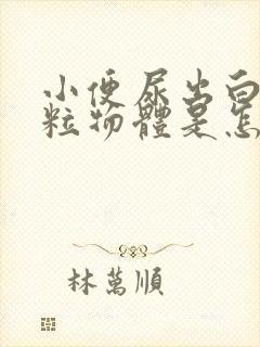 小便尿出白色颗粒物体是怎么回事