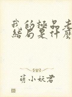 我的极品老婆大结局是什么