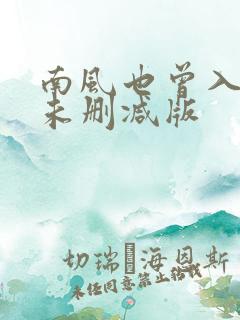 南风也曾入我怀未删减版