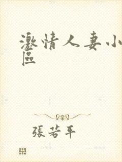 激情人妻小说二区