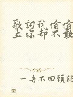 歌词我偷偷的爱上你却不敢告诉你