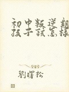 初中叛逆期的男孩子该怎样去沟通教育