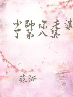 少帅你老婆又跑了第八集