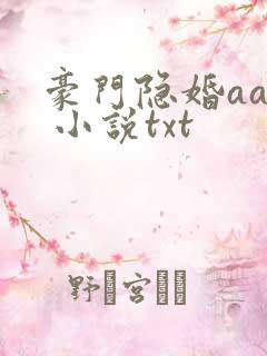 豪门隐婚aa制 小说txt
