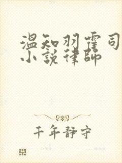 温知羽霍司砚的小说律师