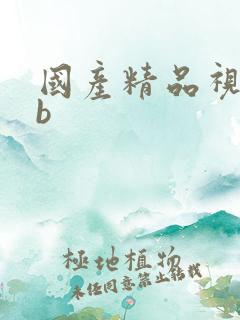 国产精品视频bb