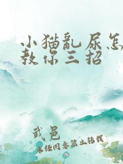 小猫乱尿怎么办教你三招