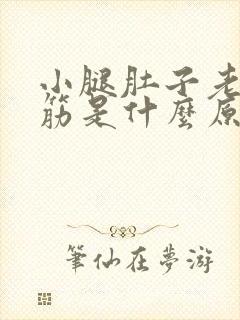 小腿肚子老是抽筋是什么原因引起的