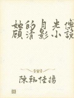 她的月光傅诗予顾清影小说