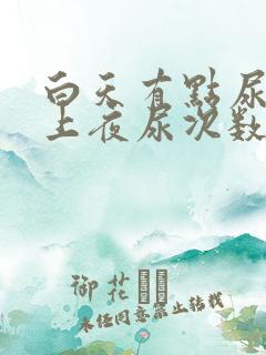 白天有点尿频晚上夜尿次数多