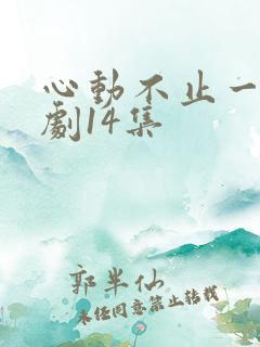 心动不止一刻短剧14集