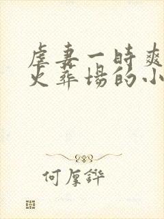 虐妻一时爽追妻火葬场的小说现言