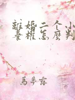 离婚二个小孩抚养权怎么判