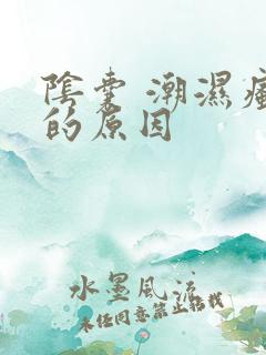 阴囊 潮湿瘙痒的原因