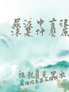 尿液中有很多泡沫是什么原因