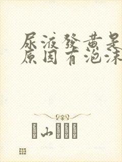 尿液发黄是什么原因有泡沫