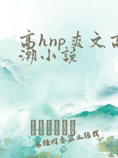 高hnp爽文高潮小说