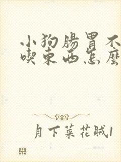 小狗肠胃不好不吃东西怎么办